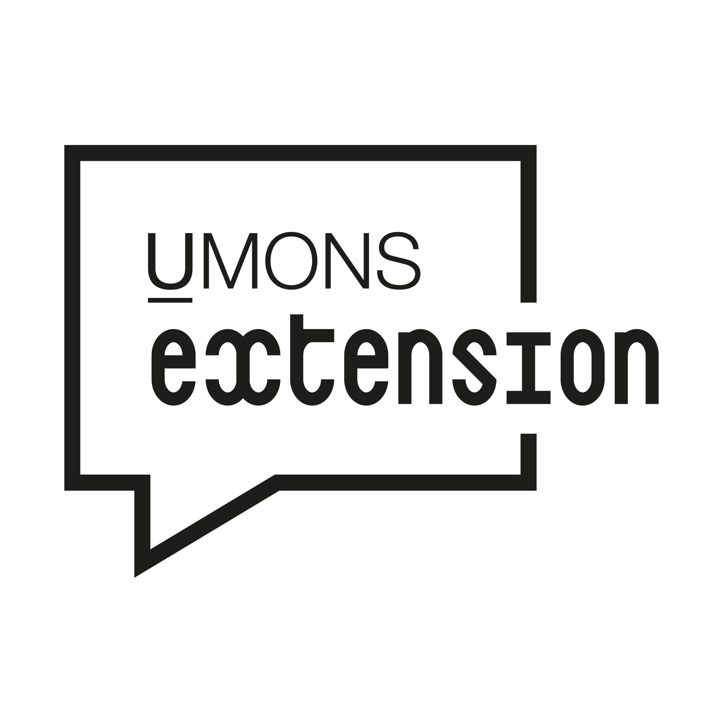 Extension UMONS asbl