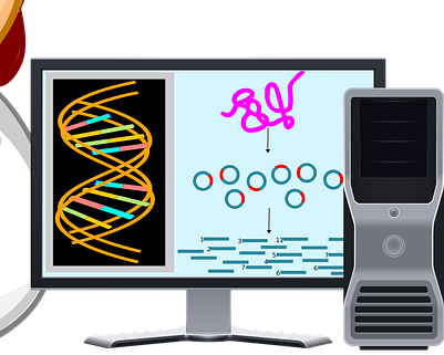 À la découverte de l’ADN et de la programmation
