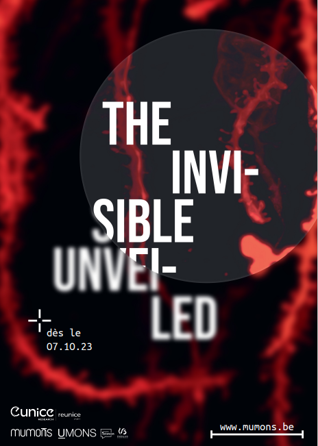 The Invisible Unveiled